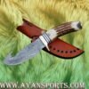 Damascus Gut Hook Fixed Blade Knife with Stag Antler Handle & Leather Sheath